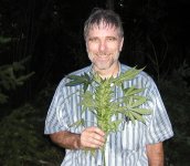 grass2.jpg