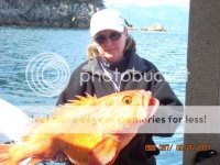 Theresa18Yelloweye.jpg