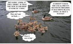 goose_family_C_Dory_sighting.sized.jpg