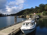 IMG_0207.sized.jpg