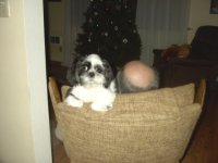 Sophie_and_G_pa.sized.jpg