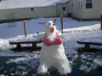 My_snow_woman_3.jpg