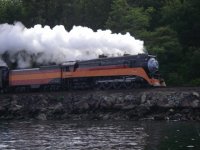 train_016.sized.jpg