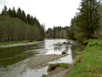 PICT0059.jpg