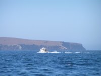 0384_070903.sized.jpg