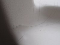 crack_in_gel_coat_Tom_Cat.sized.jpg