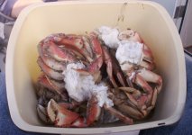 Crabs_Yum.sized.jpg