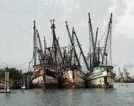 ShrimperArtE.jpg