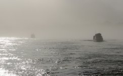 Fog2E.jpg