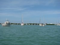 IMG_0087.sized.jpg