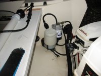 IMG_1849.sized.jpg