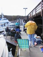 Dock_party.jpg
