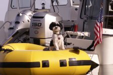 Baxter_in_Dinghy.jpg