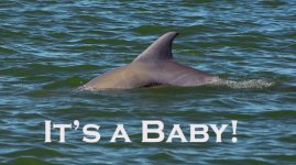 BabyE.jpg