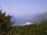 Picture_006.sized.jpg