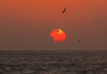 SunriseE_002.jpg