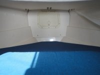 DSC00860.sized.jpg