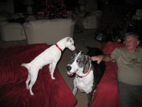 IMG_1452.sized.jpg