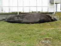 IMG_0732.jpg