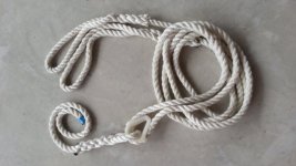 1200p_bridle.sized.jpg 1200p_bridle.sized.jpg