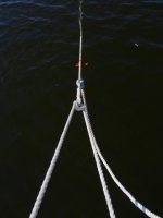 1200p_inuse.sized.jpg 1200p_inuse.sized.jpg