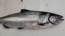 20140802_121741.jpg 20140802_121741.jpg