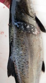 20140802_121809.jpg 20140802_121809.jpg