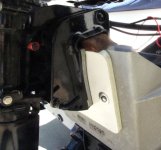IMG_7195.sized.jpg