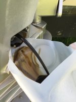 IMG_7043.sized.jpg