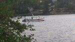 20150630_211444.thumb.jpg
