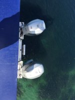 IMG_3948.sized.jpg IMG_3948.sized.jpg