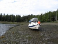 IMG_3015.sized.jpg