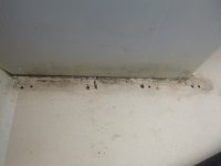 P1000736-XL.jpg