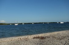 DSC04167.jpg