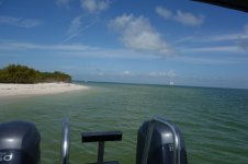 DSC04298.jpg
