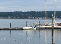 IMG_3987.sized.jpg IMG_3987.sized.jpg