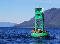 Buoy_Green_35.sized.jpg