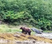 Bear_Warm_Springs_Bay.sized.jpg