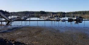 Kake_harbor_very_low_tide.sized.jpg