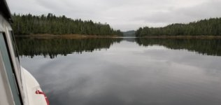 Foggy_Bay.sized.jpg