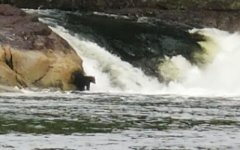 Bear_Verney_Falls.sized.jpg