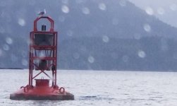 Buoy_D6_Gibson_Island.sized.jpg