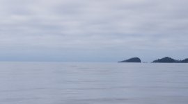 Cape_Calvert_and_beyond.sized.jpg