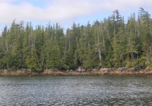 Millbrook_Cove.sized.jpg