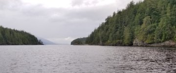 Growler_Cove_looking_out_to_Johnstone.sized.jpg