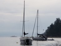 Pilot_Bay_Entrance_Island.sized.jpg