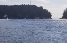 Approaching_Dodd_Narrows.sized.jpg