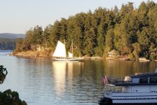 Spike_Africa_in_Friday_Harbor.sized.jpg