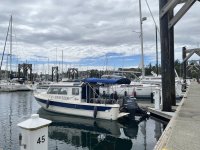 495CTravelerFridayHarbor.jpg