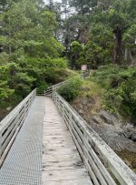 533ReidHarborDockWalkway.jpg